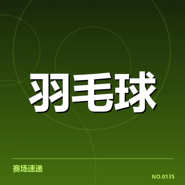 暂停判罚争议：羽毛球队员与裁判尺度冲突